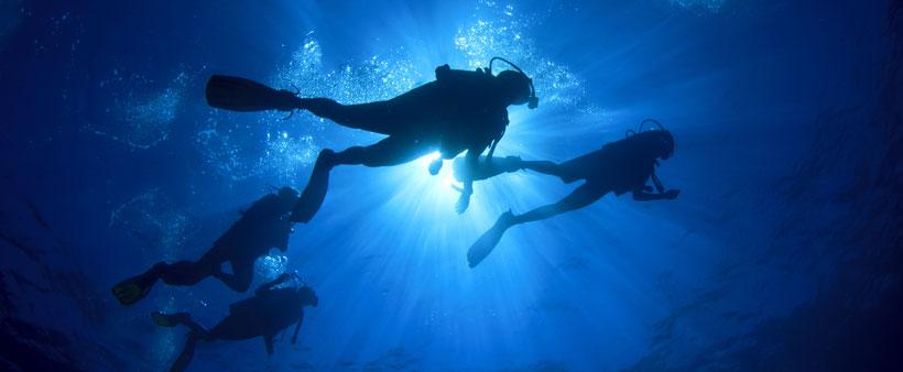 Liveaboard or Resort for the Best Diving Experience? - Belize Dive Haven